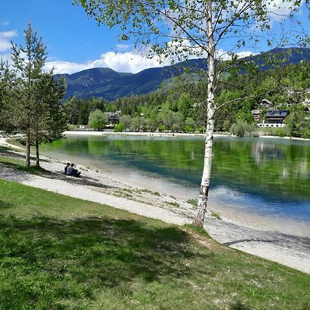 Les Chalet Kranjska Gora I Екстериор снимка
