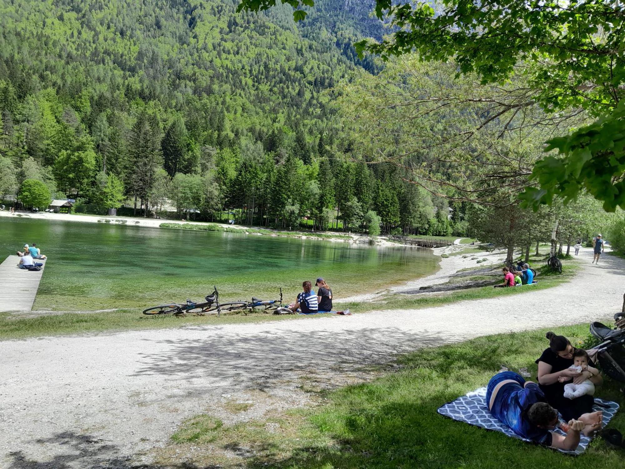 Les Chalet Kranjska Gora I Екстериор снимка