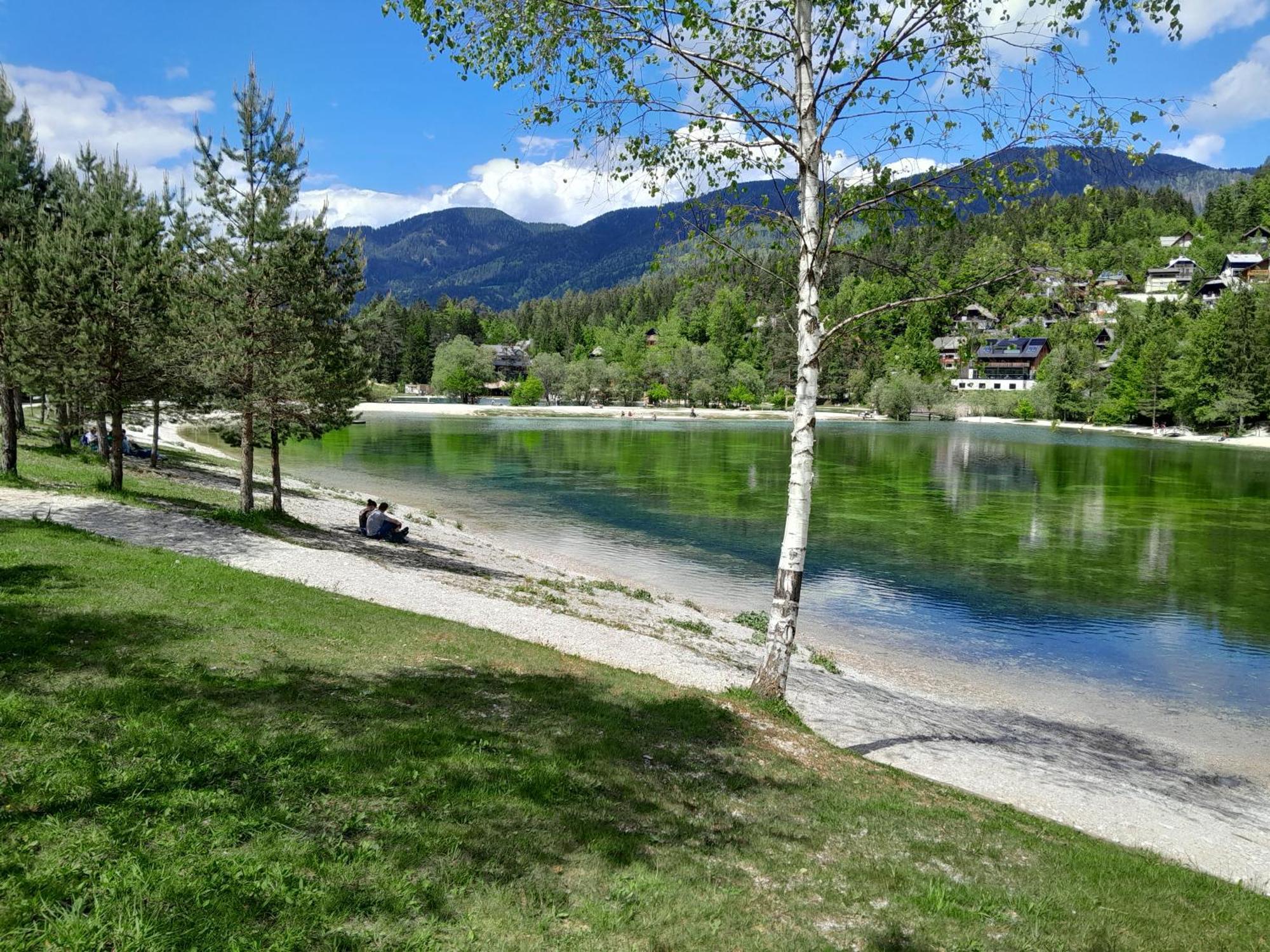Les Chalet Kranjska Gora I Екстериор снимка
